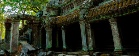 Stone temple Ta Prohm Angkor Wat Cambodiaの写真素材