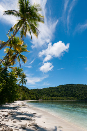 The tropical, white beach of Raja Ampat in Papua New Guinea, Indonesiaの写真素材