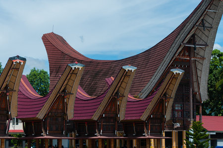 Very Unique and Traditional houses of Tana Toraja with red roof in Indonesiaの写真素材