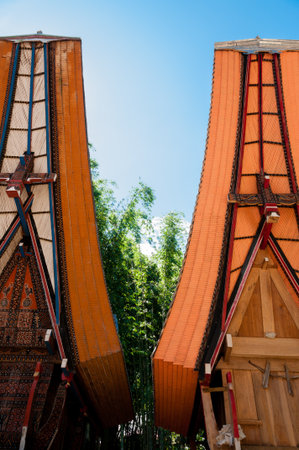 Two very Unique and Traditional houses of Tana Toraja with Buffalo horns on Sulawesi, Indonesiaの写真素材