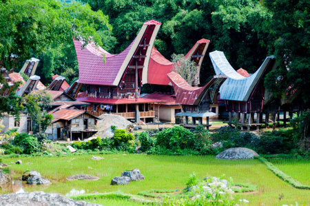 The Village with traditional and colorful houses of Tana Toraja on Sulawesi in Indonesiaの写真素材