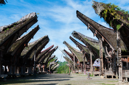 Village with Native and Traditional Houses of Tana Toraja in Sulawesi, Indonesiaの写真素材