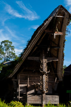 Traditional House front in Tana Toraja Decorated With Carabao buffalo Horns, Sulawesi, Indonesiaの写真素材