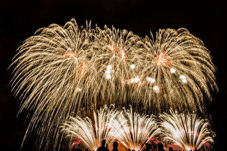 Colorful fireworks of various colors over night sky with spectatorsの写真素材