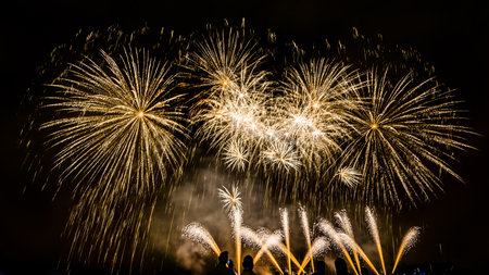 Colorful fireworks of various colors over night sky with spectatorsの写真素材
