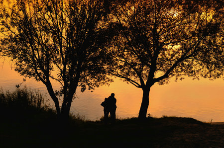 Couple silhouettes at sunsetの素材
