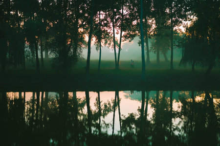 Forest reflection in small lake in foggy morningの写真素材