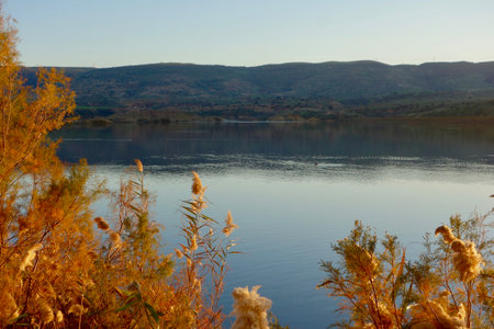 Lake at duskの写真素材