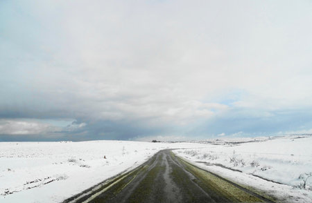 Heavy snow on the side of the roadの写真素材