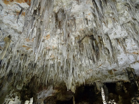 stalactites in a caveの写真素材