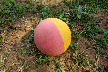 Balloon abandoned by children on the fieldの写真素材