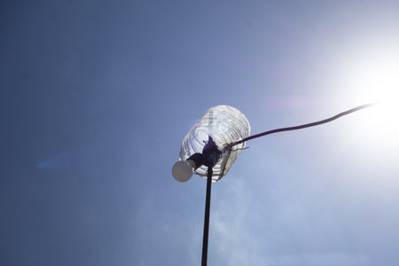 Handcrafted lamp that seems to feed on sunlightの写真素材