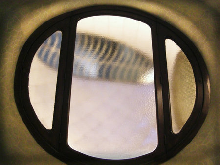 Window inside Casa batllo by Gaudiのeditorial素材