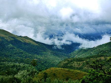 Lush Green Grass Mountains Forest Landscape view