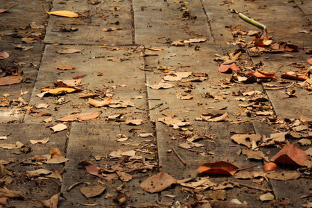 Old wooden path bridge with dry leavesの写真素材