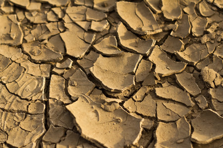 Dry land backgroundの写真素材