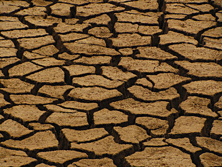 Dry land backgroundの写真素材