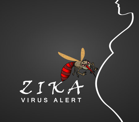 Zika Virus Outbreak and alert.Transmitted by A. aegypti mosquito and it is linked to cause microcephaly on infected pregnant women. Editable Clip Art.のイラスト素材