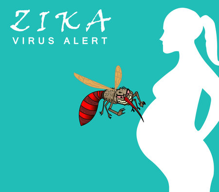 Zika Virus Outbreak and Travel Alert concept. transmitted by mosquito and it is linked to cause microcephaly on infected pregnant womenのイラスト素材