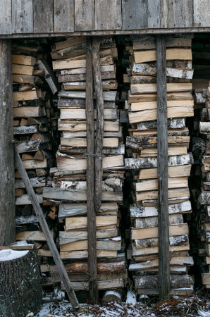 Texture rustic background - chopped settled birch firewood, winter preparation