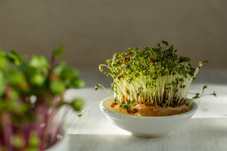 Microgreen kress, pink radish sprouts on white wooden background in trendy hard direct sunlight,...