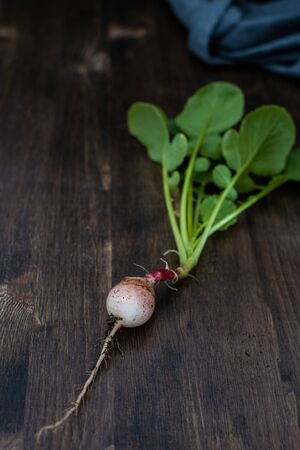 Minimal crop failure concept, organic vegetable, radish on rustic wooden background, top view, copy spaceの写真素材