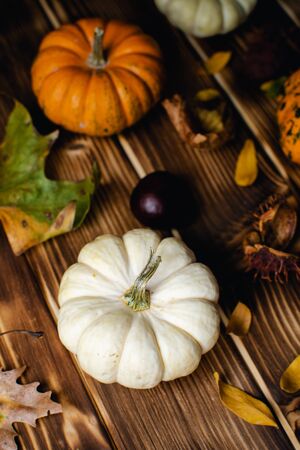 fall thanksgiving still life with pumpkins assortment, chestnuts, autumn leaves on rustic wooden backgroundの写真素材