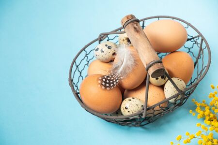 Quail and chicken eggs in metal basket with feather on pastel blue background, copy space, minimal easter card, organic farm foodの写真素材