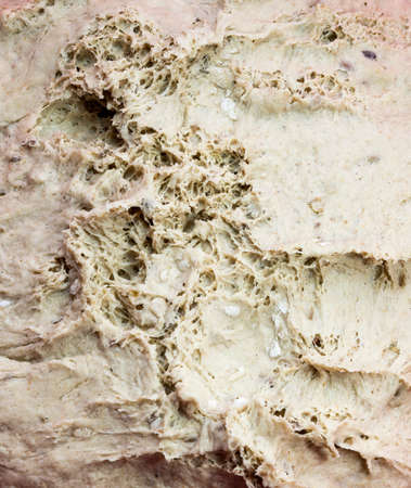 homemade raw brown bread surface texture of before cookingの写真素材