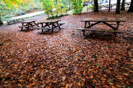 Colors of autumn in forest, Yedig?ller National Park, Bolu, Turkeyの写真素材