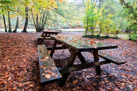Colors of autumn in forest, Yedig?ller National Park, Bolu, Turkey