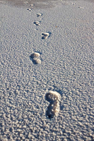 Footsteps on the salt, lake Salt, Turkeyの写真素材