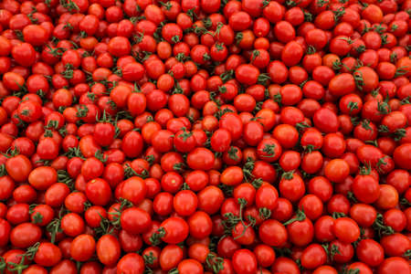 Fresh red tomatoes on the local market placeの写真素材