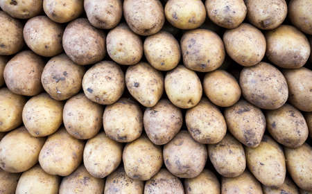 Raw potatoes on the local market placeの写真素材