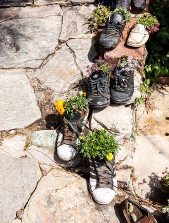 Old shoes used as potsの写真素材