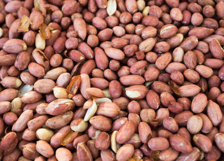 Raw peanut on the market for saleの写真素材