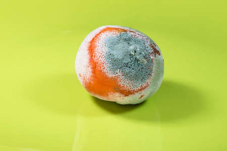 a moldy tangerine on a green backgroundの写真素材