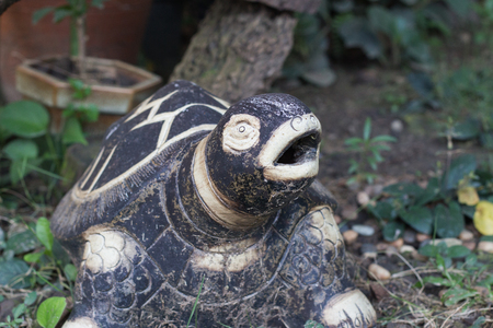 Turtle Rock in the Parkの写真素材