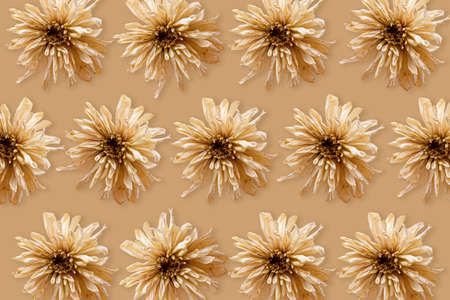 Floral pattern made of rose flowers and eucalyptus on beige background. Flat lay, top viewの写真素材