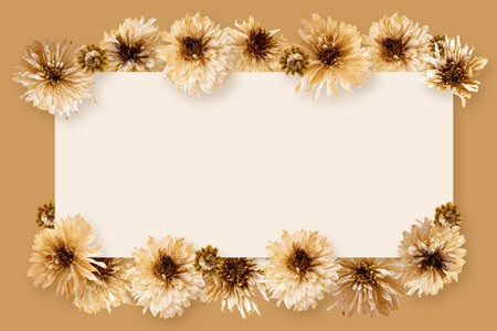 Blank paper sheet cards with copy space and dry flower buds with sunlight shadow on beige background. Minimal business brand template. Flat lay, top viewの写真素材
