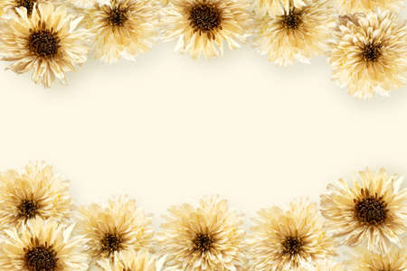 Creative layout made of dried wild natural flowers and copy space over pastel beige background. Nature concept.の写真素材