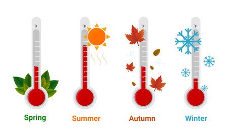 Thermometer showing temperature for each season, winter, summer, autumn, spring. Vector illustration.のイラスト素材