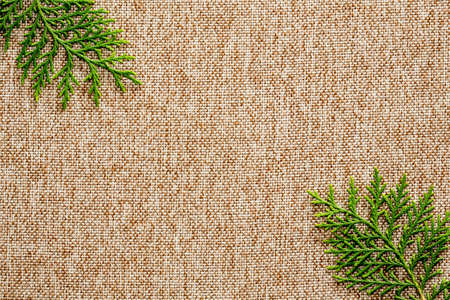 Green baison on brown fabric backgroundの写真素材