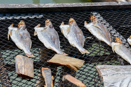 Dried salted fish. Folk wisdom