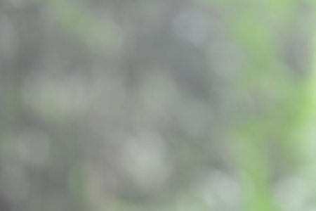 Natural outdoors bokeh background in green tones