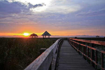 sam roi yod, national park, thailandの写真素材