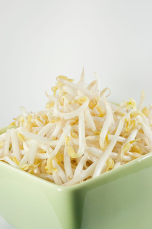 bean sprouts in bowl