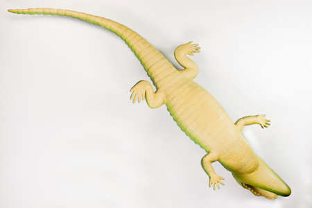 crocodile toyの写真素材