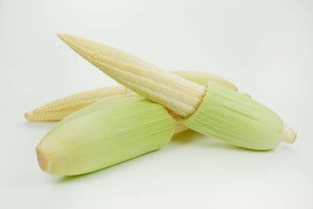 baby cornの写真素材
