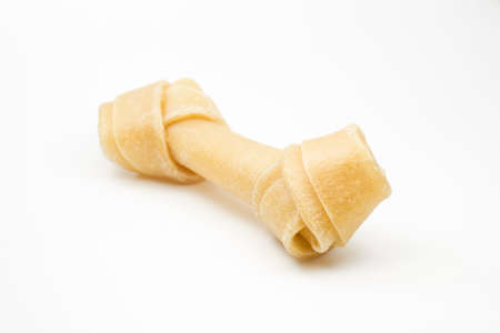 artificial boneの写真素材